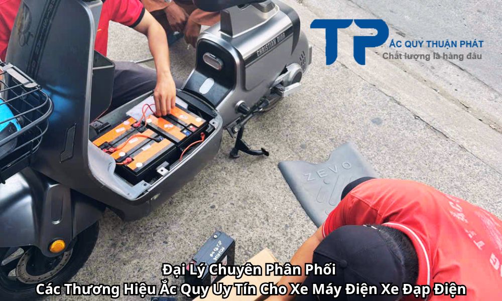 Đại Lý Chuyên Phân Phối Các Thương Hiệu Ắc Quy Uy Tín Cho Xe Máy Điện Xe Đạp Điện