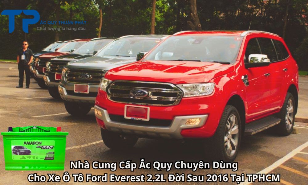 Nhà Cung Cấp Ắc Quy Chuyên Dùng Cho Xe Ô Tô Ford Everest 2.2L Đời Sau 2016 Tại TPHCM