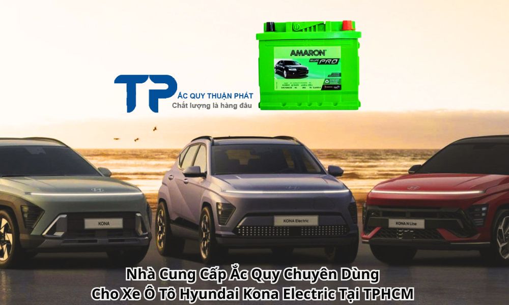 Nhà Cung Cấp Ắc Quy Chuyên Dùng Cho Xe Ô Tô Hyundai Kona Electric Tại TPHCM