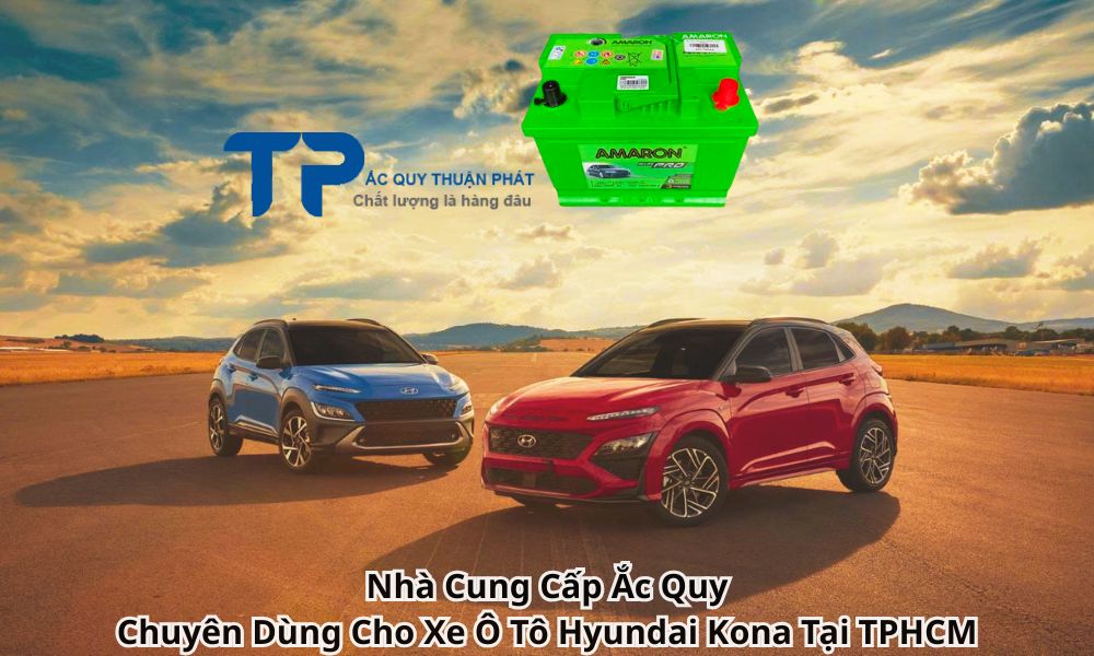 Nhà Cung Cấp Ắc Quy Chuyên Dùng Cho Xe Ô Tô Hyundai Kona Tại TPHCM