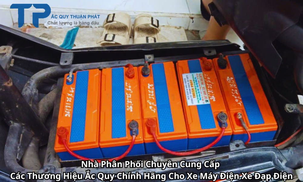 Nhà Phân Phối Chuyên Cung Cấp Các Thương Hiệu Ắc Quy Chính Hãng Cho Xe Máy Điện Xe Đạp Điện