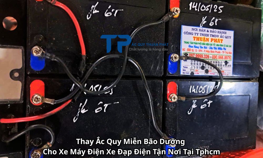 Thay Ắc Quy Miễn Bão Dưỡng Cho Xe Máy Điện Xe Đạp Điện Tận Nơi Tại Tphcm