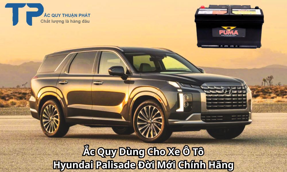 Ắc Quy Dùng Cho Xe Ô Tô Hyundai Palisade Đời Mới Chính Hãng