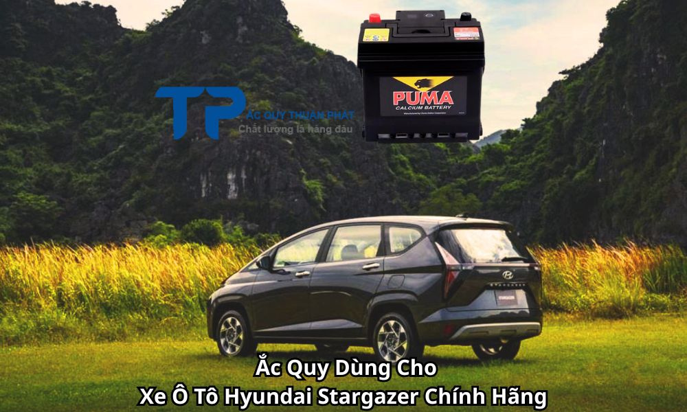 Ắc Quy Dùng Cho Xe Ô Tô Hyundai Stargazer Chính Hãng