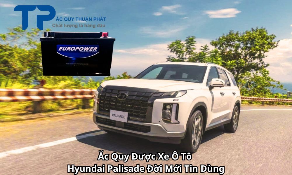 Ắc Quy Được Xe Ô Tô Hyundai Palisade Đời Mới Tin Dùng