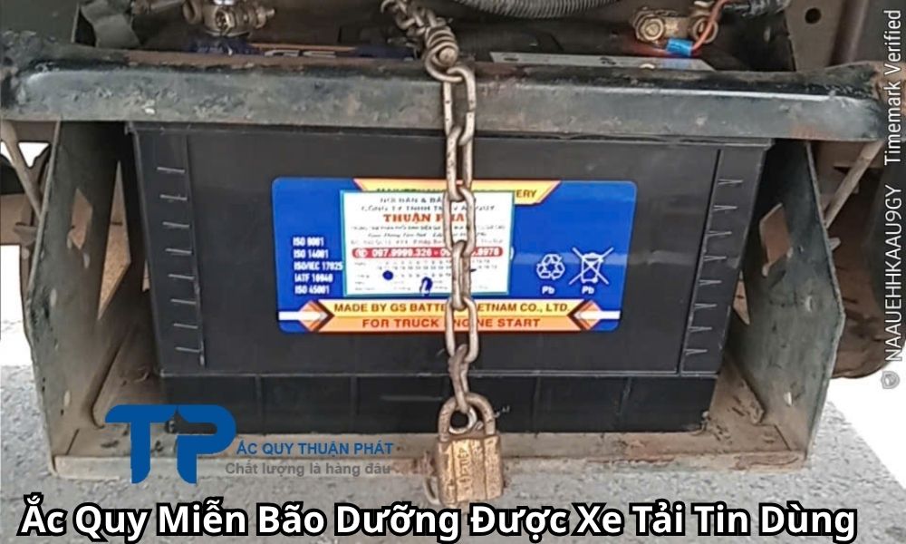 Ắc Quy Miễn Bão Dưỡng Được Xe Tải Tin Dùng
