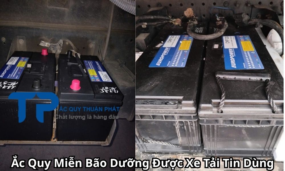 Ắc Quy Miễn Bão Dưỡng Được Xe Tải Tin Dùng
