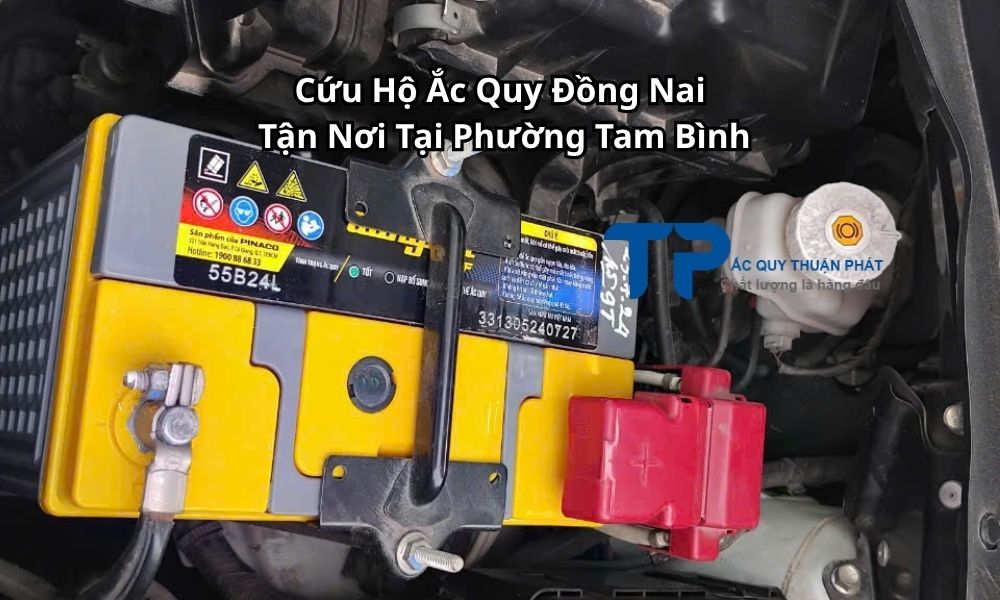 Cứu Hộ Ắc Quy Đồng Nai Tận Nơi Tại Phường Tam Bình