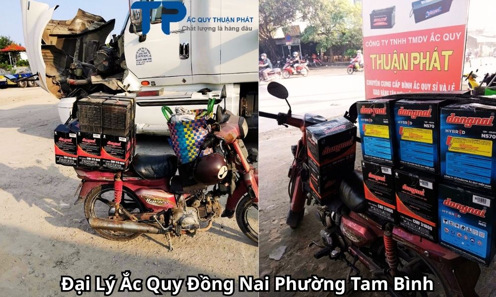 Đại Lý Ắc Quy Đồng Nai Phường Tam Bình