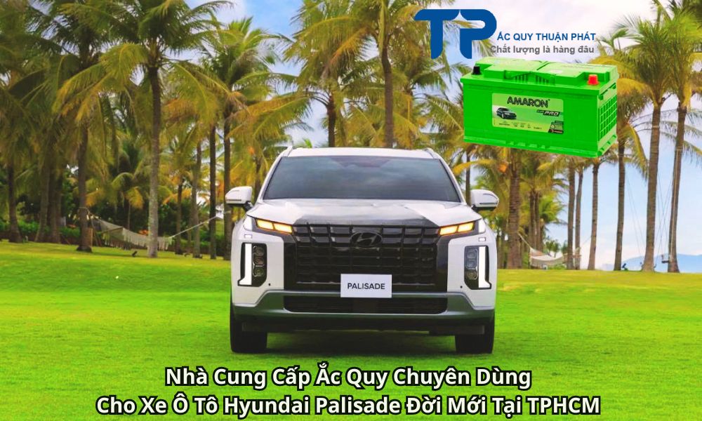 Nhà Cung Cấp Ắc Quy Chuyên Dùng Cho Xe Ô Tô Hyundai Palisade Đời Mới Tại TPHCM