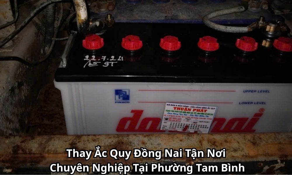 Thay Ắc Quy Đồng Nai Tận Nơi Chuyên Nghiệp Tại Phường Tam Bình