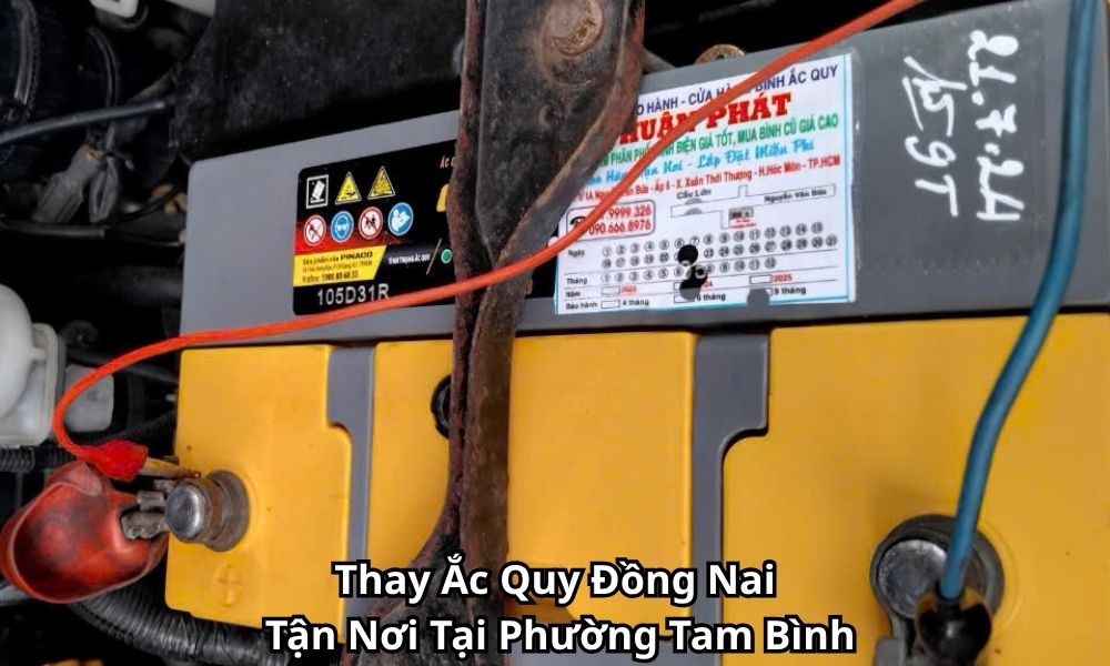 Thay Ắc Quy Đồng Nai Tận Nơi Tại Phường Tam Bình