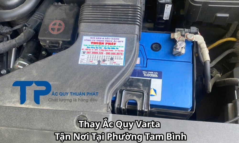 Thay Ắc Quy Varta Tận Nơi Tại Phường Tam Bình
