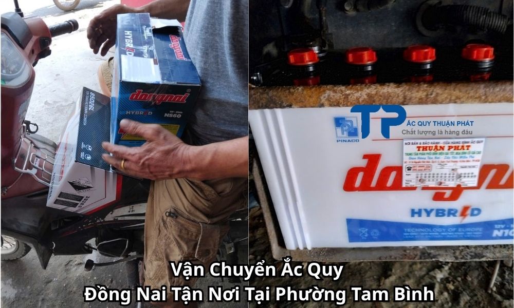 Vận Chuyển Ắc Quy Đồng Nai Tận Nơi Tại Phường Tam Bình