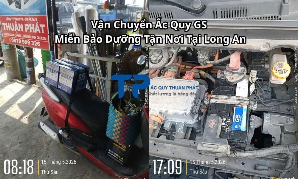 Vận Chuyển Ắc Quy GS Miễn Bảo Dưỡng Tận Nơi Tại Long An