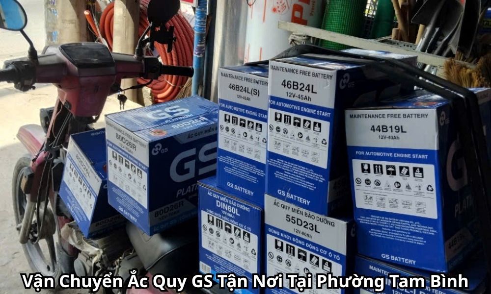 Vận Chuyển Ắc Quy GS Tận Nơi Tại Phường Tam Bình
