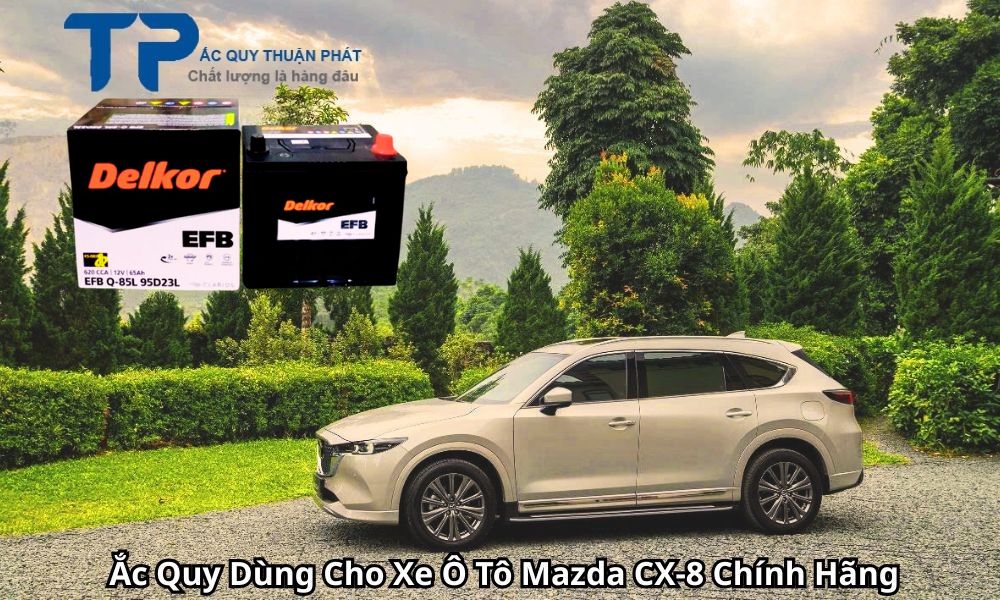 Ắc Quy Dùng Cho Xe Ô Tô Mazda CX-8 Chính Hãng