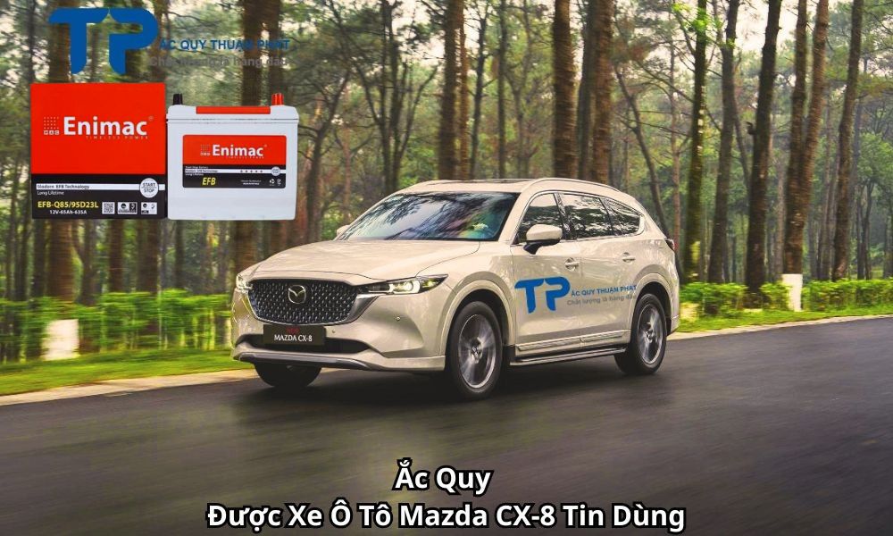 Ắc Quy Được Xe Ô Tô Mazda CX-8 Tin Dùng