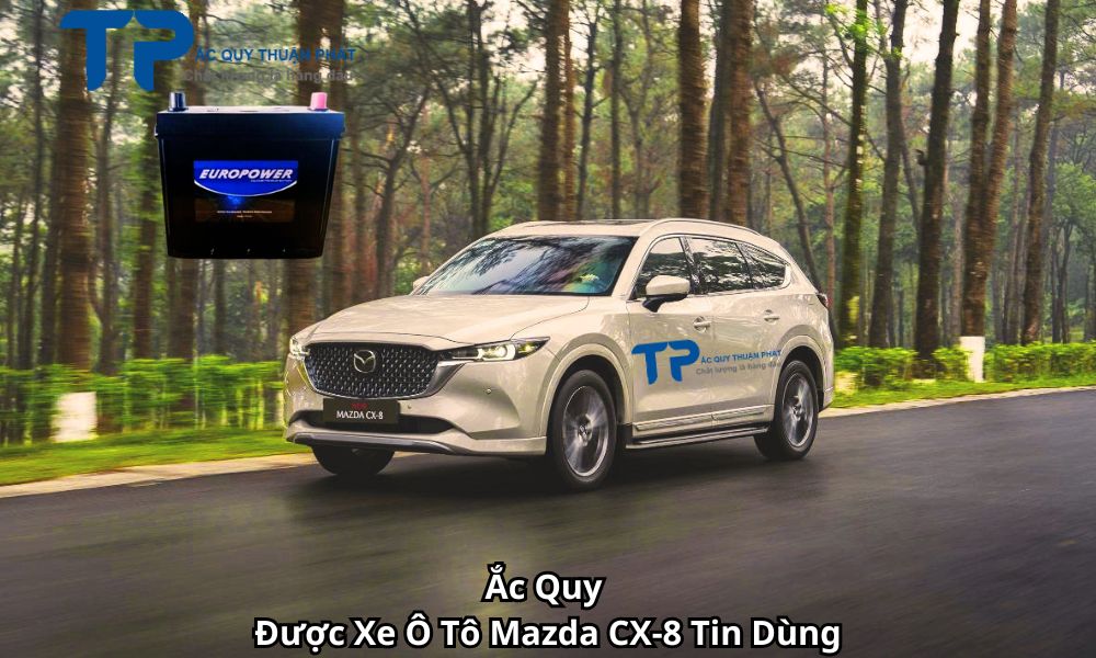 Ắc Quy Được Xe Ô Tô Mazda CX-8 Tin Dùng