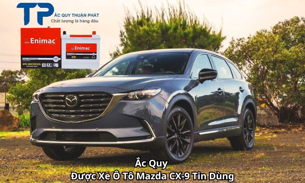 Ắc Quy Được Xe Ô Tô Mazda CX-9 Tin Dùng