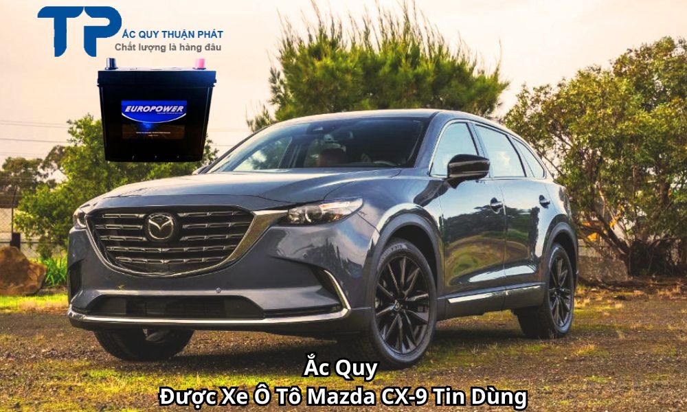 Ắc Quy Được Xe Ô Tô Mazda CX-9 Tin Dùng
