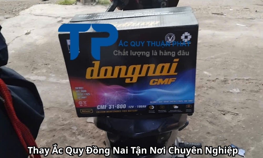 Thay Ắc Quy Đồng Nai Tận Nơi Chuyên Nghiệp