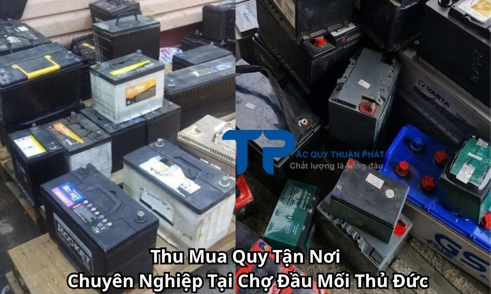 Thu Mua Quy Tận Nơi Chuyên Nghiệp Tại Chợ Đầu Mối Thủ Đức