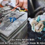 Dấu Hiệu Nhận Biết Bình Ắc Quy Đã Đến Tuổi Hoặc Bị Hỏng