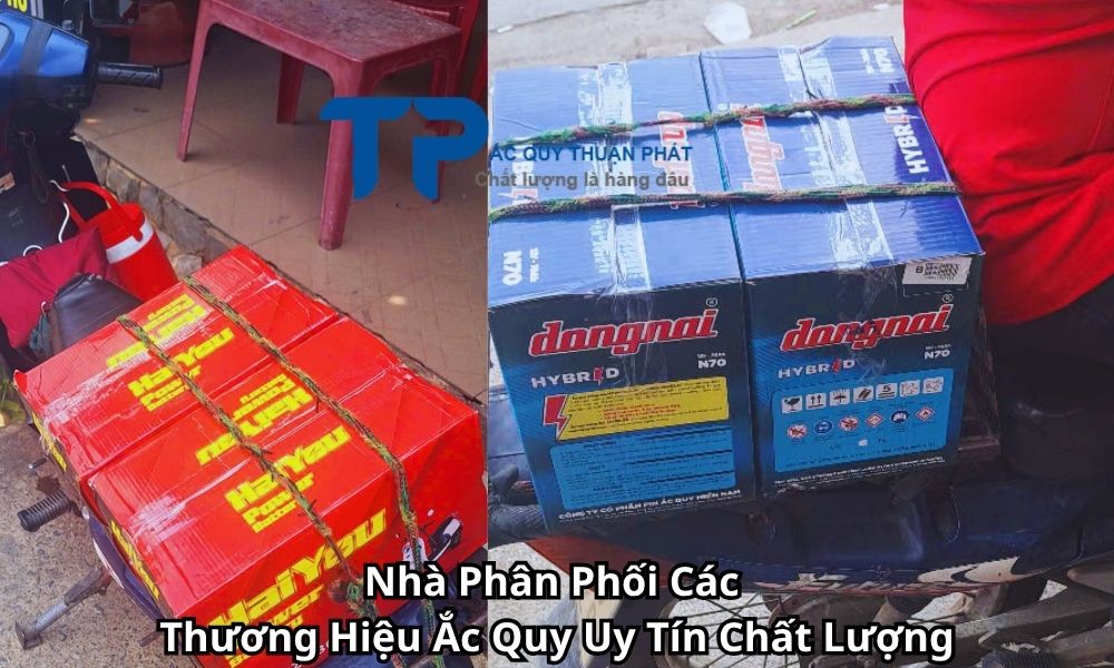 Nhà Phân Phối Các Thương Hiệu Ắc Quy Uy Tín Chất Lượng