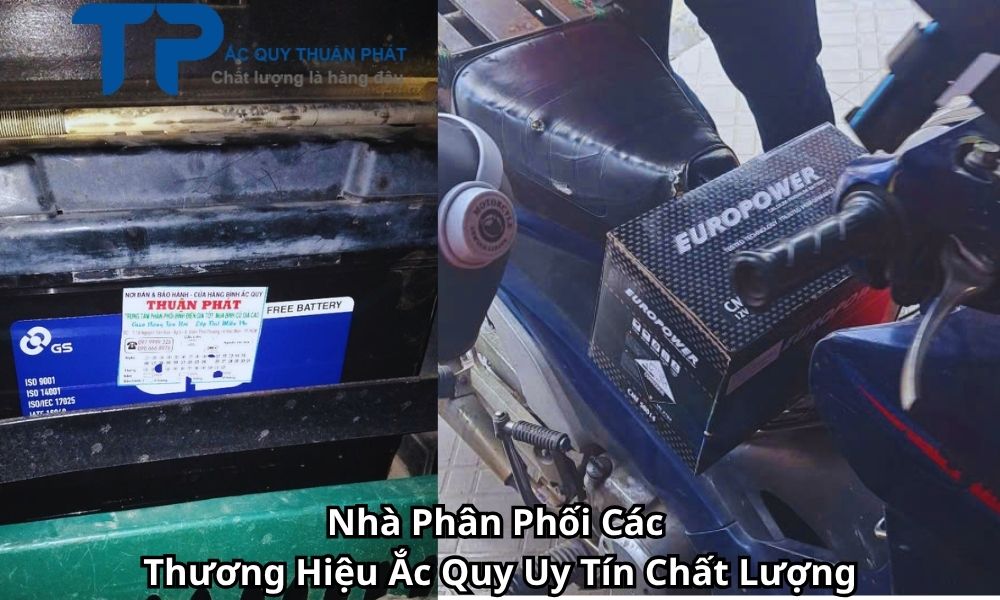 Nhà Phân Phối Các Thương Hiệu Ắc Quy Uy Tín Chất Lượng