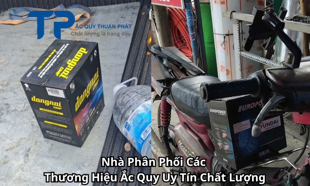 Nhà Phân Phối Các Thương Hiệu Ắc Quy Uy Tín Chất Lượng