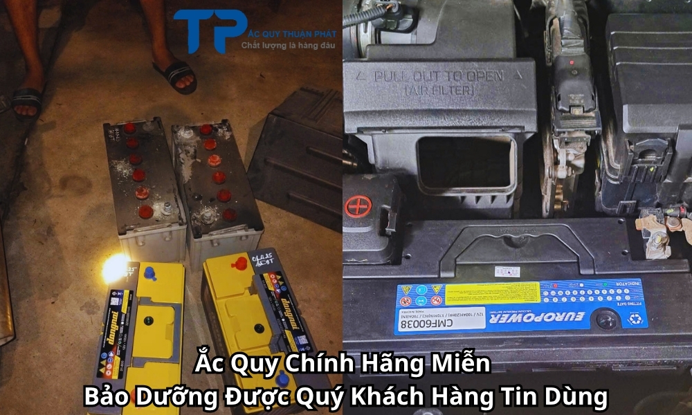 Ắc Quy Chính Hãng Miễn Bảo Dưỡng Được Quý Khách Hàng Tin Dùng