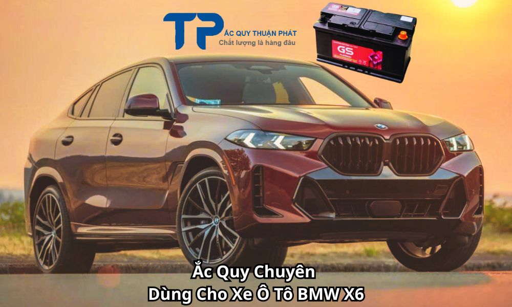 Ắc Quy Chuyên Dùng Cho Xe Ô Tô BMW X6