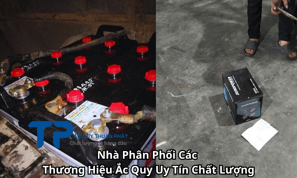 Nhà Phân Phối Các Thương Hiệu Ắc Quy Uy Tín Chất Lượng