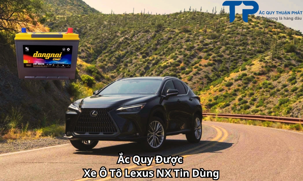 Ắc Quy Được Xe Ô Tô Lexus NX Tin Dùng