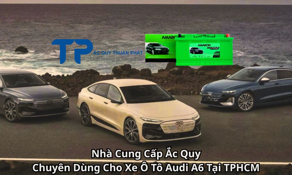 Nhà Cung Cấp Ắc Quy Chuyên Dùng Cho Xe Ô Tô Audi A6 Tại TPHCM
