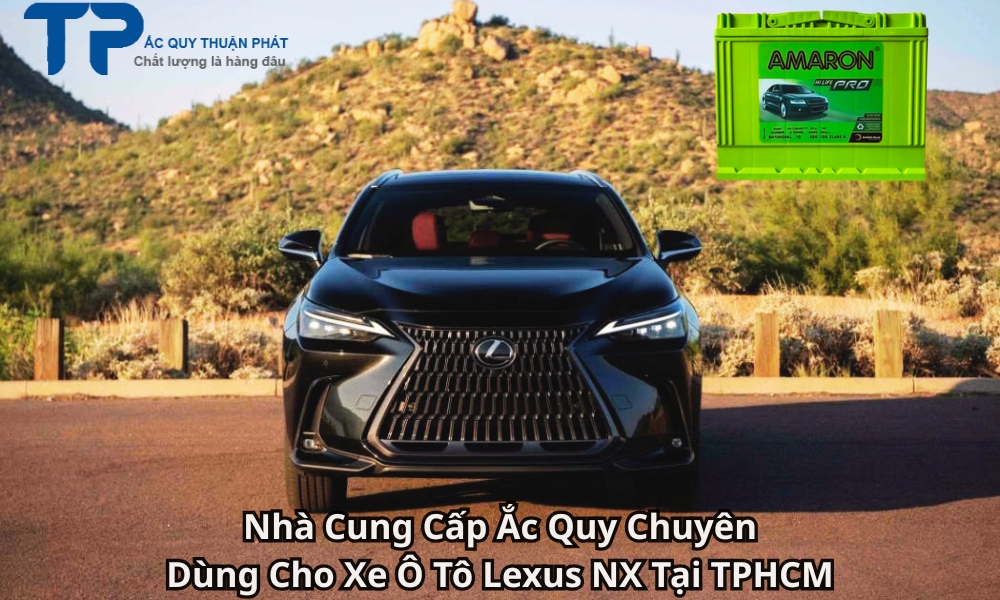Nhà Cung Cấp Ắc Quy Chuyên Dùng Cho Xe Ô Tô Lexus NX Tại TPHCM