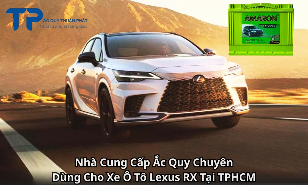 Nhà Cung Cấp Ắc Quy Chuyên Dùng Cho Xe Ô Tô Lexus RX Tại TPHCM