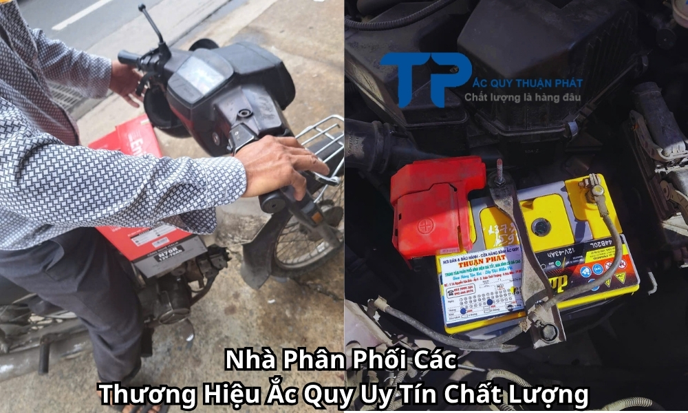 Nhà Phân Phối Các Thương Hiệu Ắc Quy Uy Tín Chất Lượng