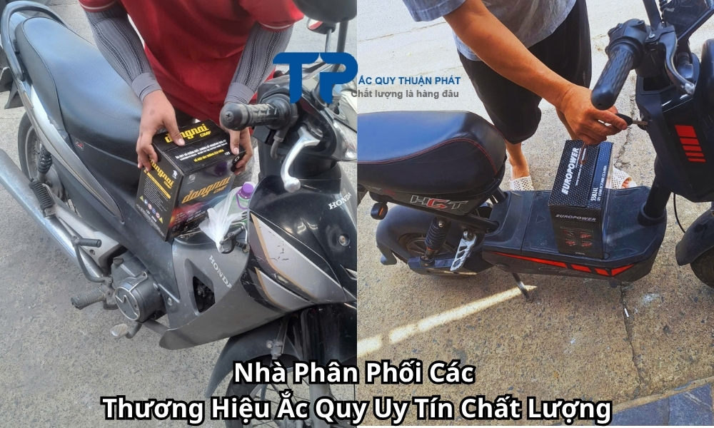 Nhà Phân Phối Các Thương Hiệu Ắc Quy Uy Tín Chất Lượng