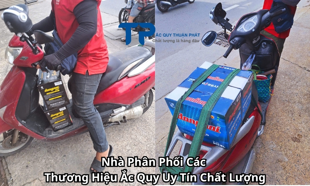 Nhà Phân Phối Các Thương Hiệu Ắc Quy Uy Tín Chất Lượng