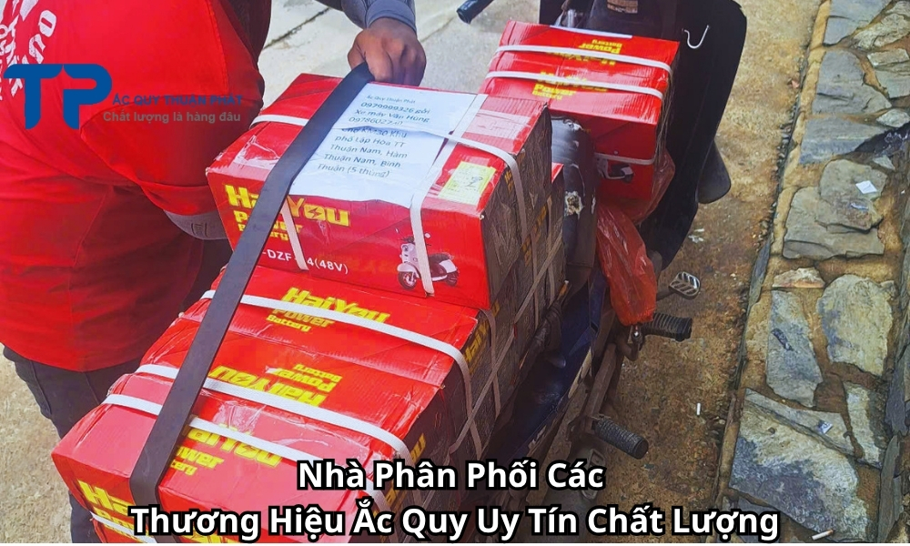Nhà Phân Phối Các Thương Hiệu Ắc Quy Uy Tín Chất Lượng