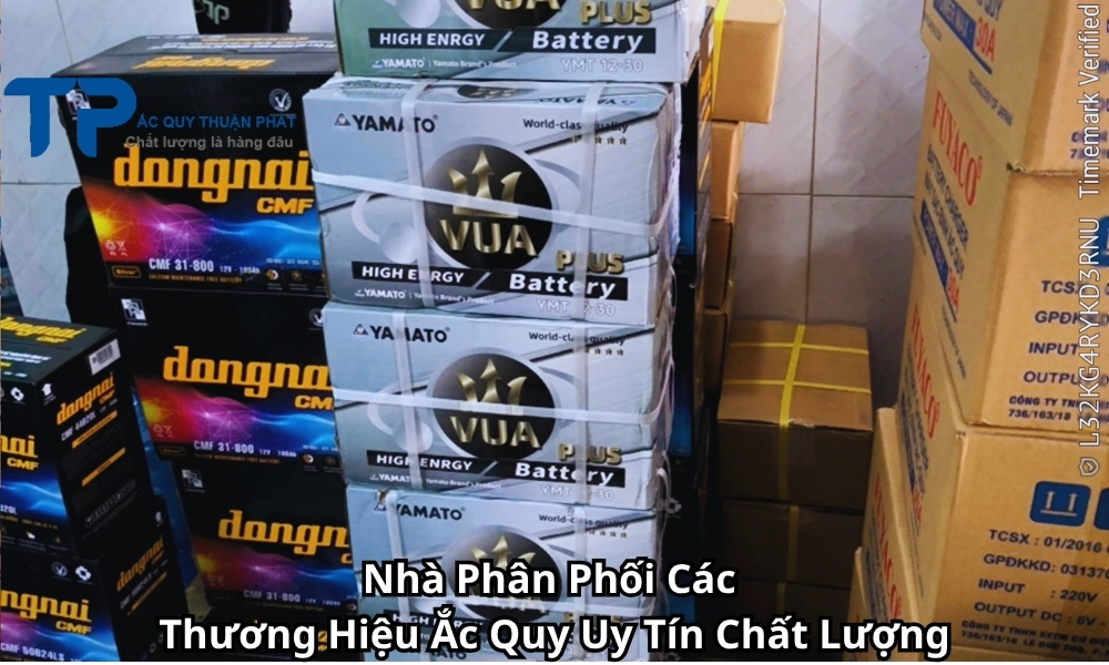 Nhà Phân Phối Các Thương Hiệu Ắc Quy Uy Tín Chất Lượng