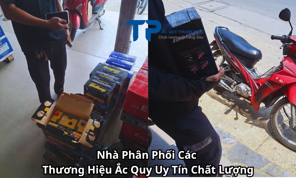 Nhà Phân Phối Các Thương Hiệu Ắc Quy Uy Tín Chất Lượng