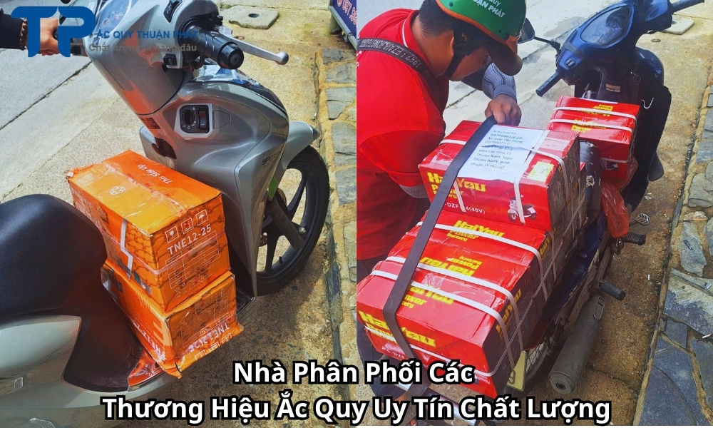 Nhà Phân Phối Các Thương Hiệu Ắc Quy Uy Tín Chất Lượng
