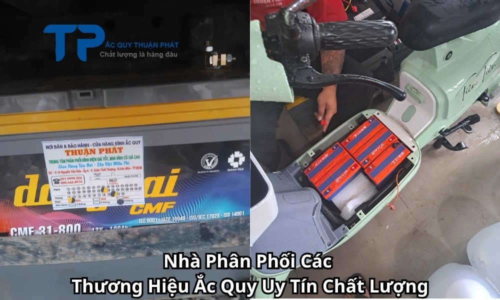 Nhà Phân Phối Các Thương Hiệu Ắc Quy Uy Tín Chất Lượng