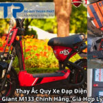 Thay Ắc Quy Xe Đạp Điện Giant M133 Chính Hãng, Giá Hợp Lý