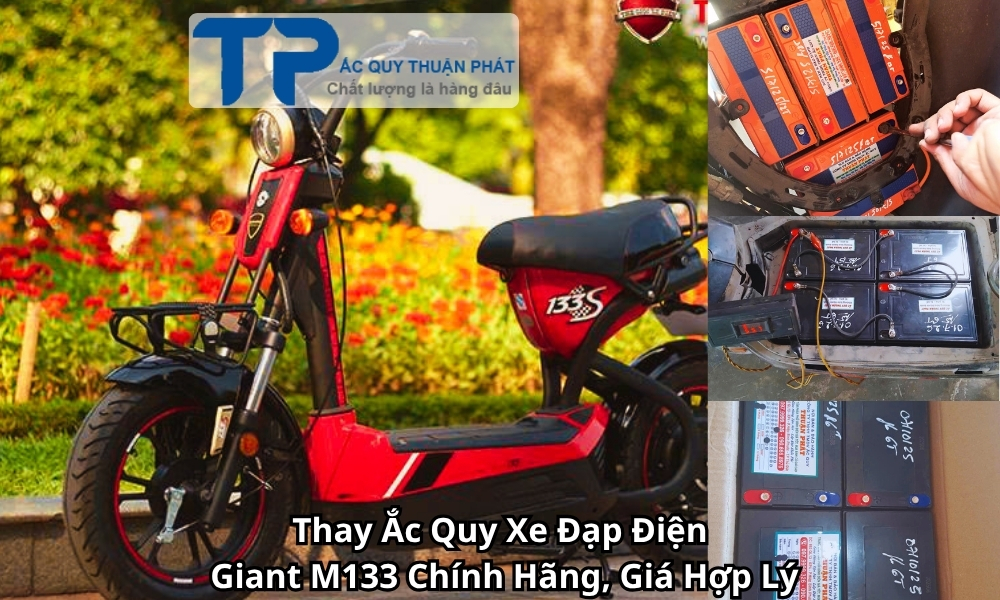 Thay Ắc Quy Xe Đạp Điện Giant M133 Chính Hãng, Giá Hợp Lý