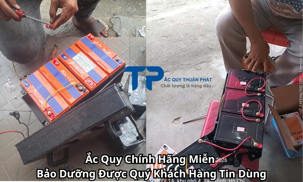 Ắc Quy Chính Hãng Miễn Bảo Dưỡng Được Quý Khách Hàng Tin Dùng
