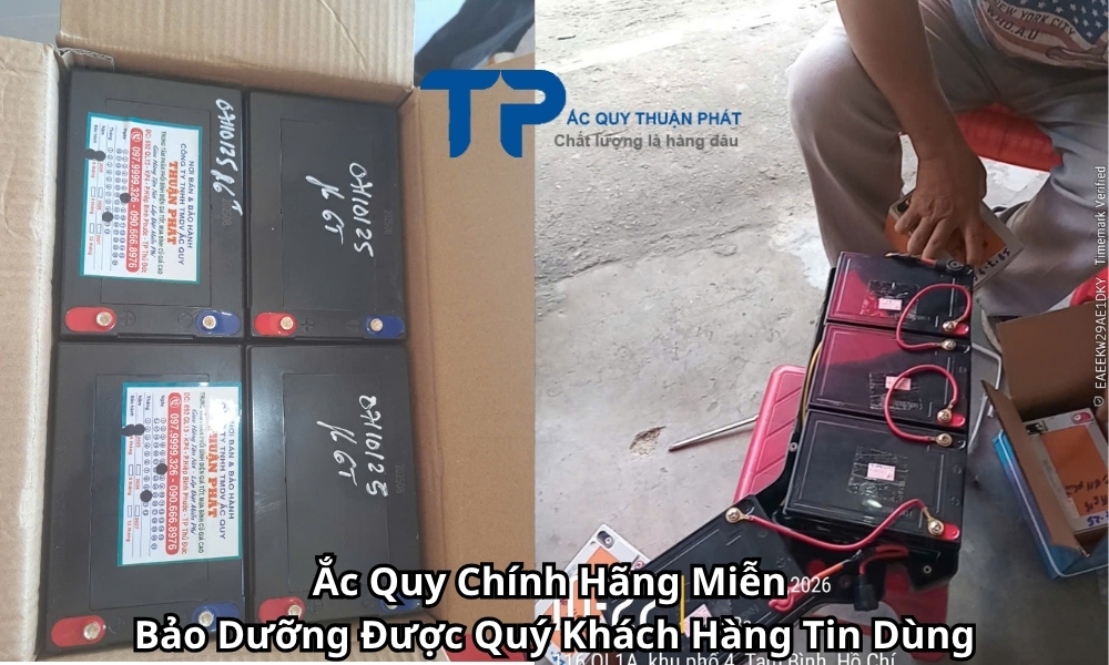Ắc Quy Chính Hãng Miễn Bảo Dưỡng Được Quý Khách Hàng Tin DùngẮc Quy Chính Hãng Miễn Bảo Dưỡng Được Quý Khách Hàng Tin Dùng